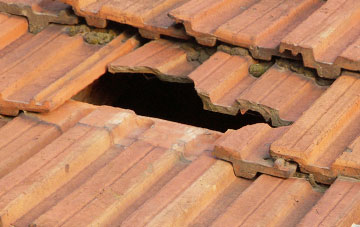 roof repair Plas Dinam, Powys